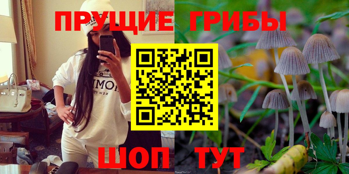 Галлюциногенные грибы прущие грибы Кострома